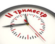 © waldemarus - Второй триместр. Часы с надписью