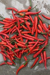 Sticker - Red chili