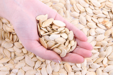 Pumpkin seeds in hand close up