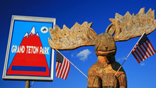 Moose Statue With USA Flags At Grand Teton Park