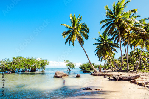 Foto-Doppelrollo - Caribbean: lonely beach :) (von doris oberfrank-list)