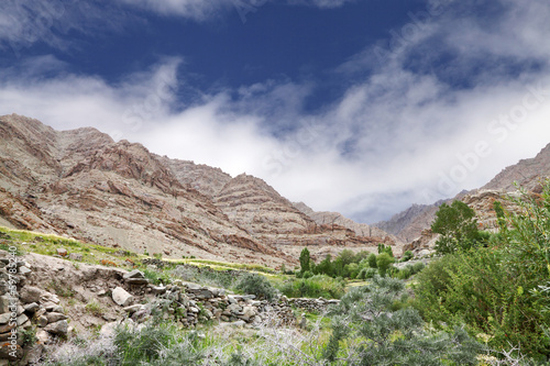 Fotoboard na płycie Ściółka w skałach osadowych w górach ladakh