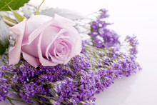 Beautiful Lavander And Pink Rose On .bright Background
