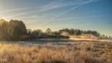 Wild meadow with morning mist
