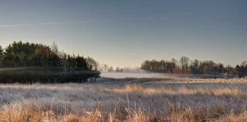 Misty meadow