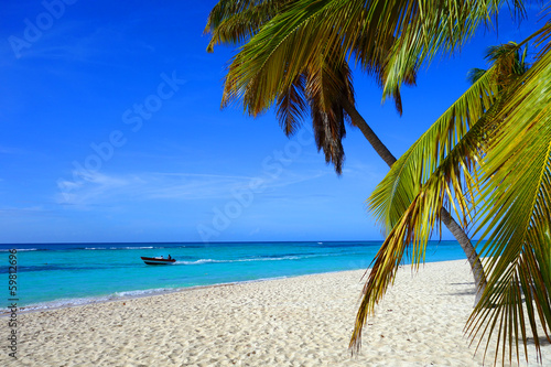 Plage Des Caraïbes Buy This Stock Photo And Explore