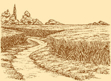 Vector Summer Landscape. Dirt Path Through Fields Of Wheat