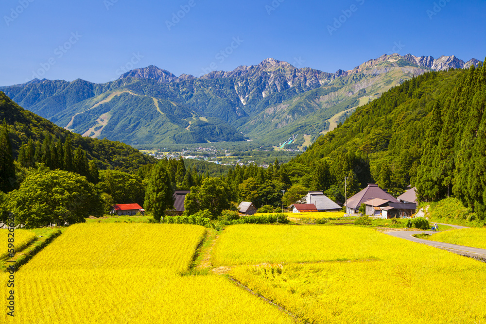 Get Poster Japan Alps And Rice Field Hakuba Village Aoni Nikkel Art For Android Free Get Wallpaper Poster Japan Alps And Rice Field Hakuba Village Aoni Nikkel Art Free HD