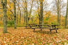 Recreation Area And Autumn Colours