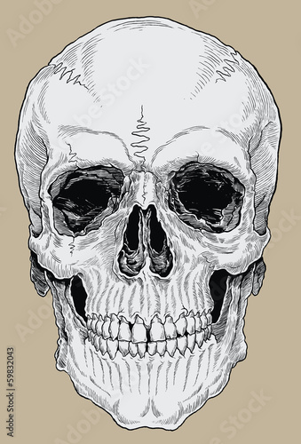 Naklejka samoprzylepna Realistyczny krzyż wykluły inked ludzką czaszkę