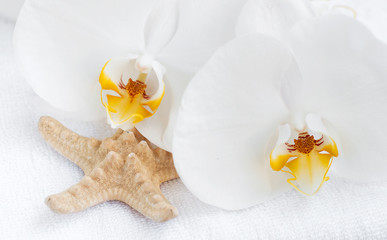 Sticker - Spa set with white orchids