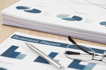 Business graph analysis report