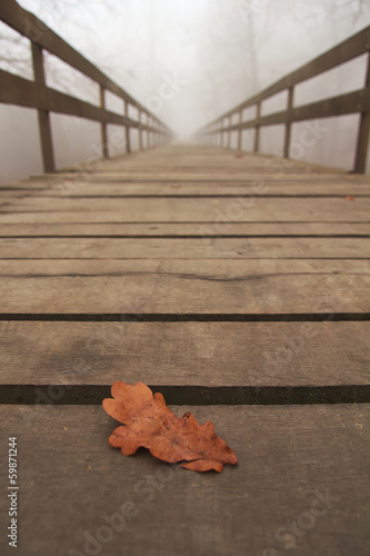 Obraz w ramie Leaf on bridge