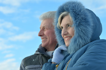 Poster - Senior couple in winter