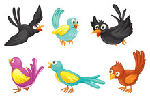 Six Colorful Birds
