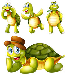 Sticker - Four playful turtles