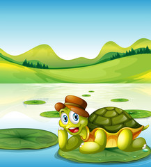 Wall Mural - A happy turtle above the floating waterlily