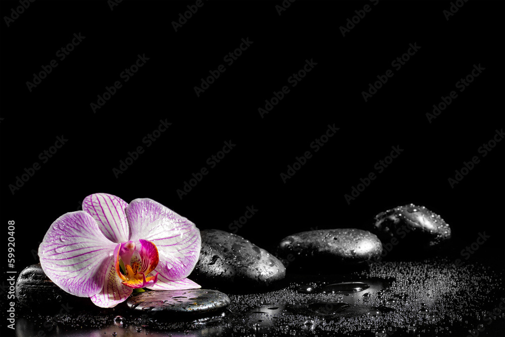 Orchid flower with zen stones on black background - obrazy, fototapety, plakaty 