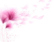 vector background with pink flowers