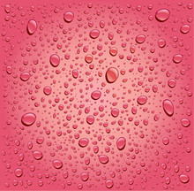 Pink Rose Water Droplets Background