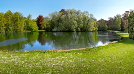 Wall Mural - Spring Park. Lake in the spring park.