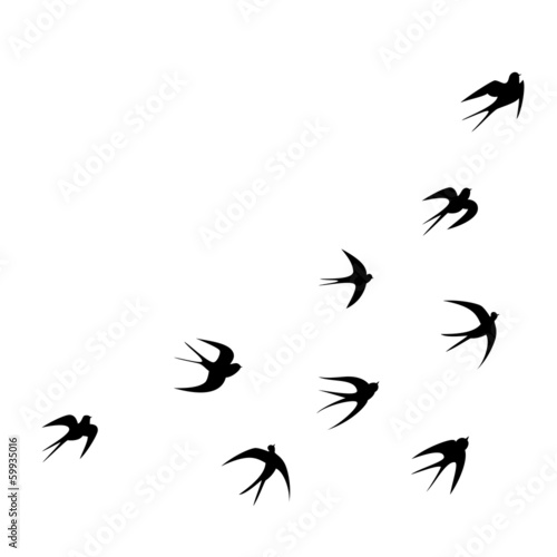 Fotomural Schwalben Tattoo Vorlage Vektor Silhouette