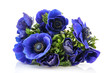 Bouquet blue Anemones