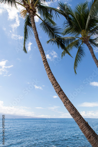 Board z aluminiowym obramowaniem Hawaje - maui