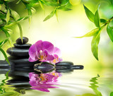 160_f_59946494_eif3mp07hzhye1bgnpaplgttfewezydd