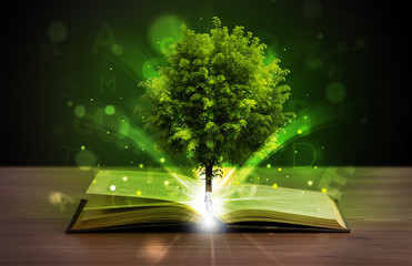 Wall Mural - Open book with magical green tree and rays of light