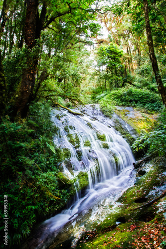 Plakat na papierze fotorealistycznym Kew mae pan