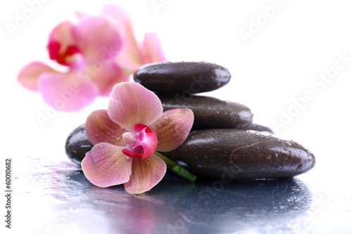 Tapeta ścienna Kompozycja z piękną kwitnącą orchideą z kroplami wody i