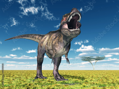 Fotoboard na płycie Tyrannosaurus rex