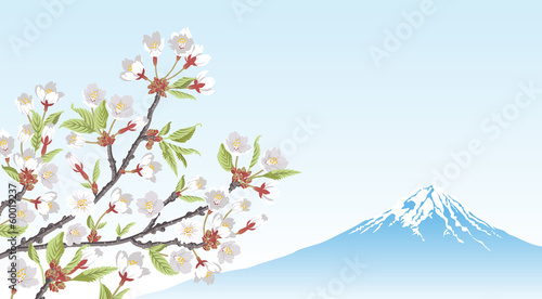 Naklejka samoprzylepna Mt.fuji i gałąź wiśni