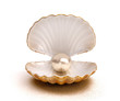 canvas print picture - shell pearl