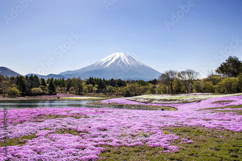 Naklejka samoprzylepna Góra fuji