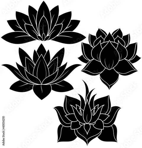 Naklejka - mata magnetyczna na lodówkę illustration of great lotus