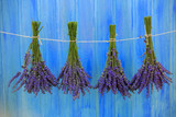 Fototapeta Lawenda - Lavender herbs drying on the wooden barn