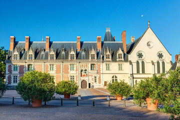 Sticker - Chateau Royal de Blois, France. Old castle like palace in Loire Valley in summer.