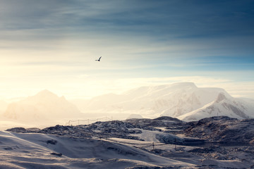 Wall Mural - beautiful snow-capped mountains
