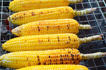 grilled sweet corn