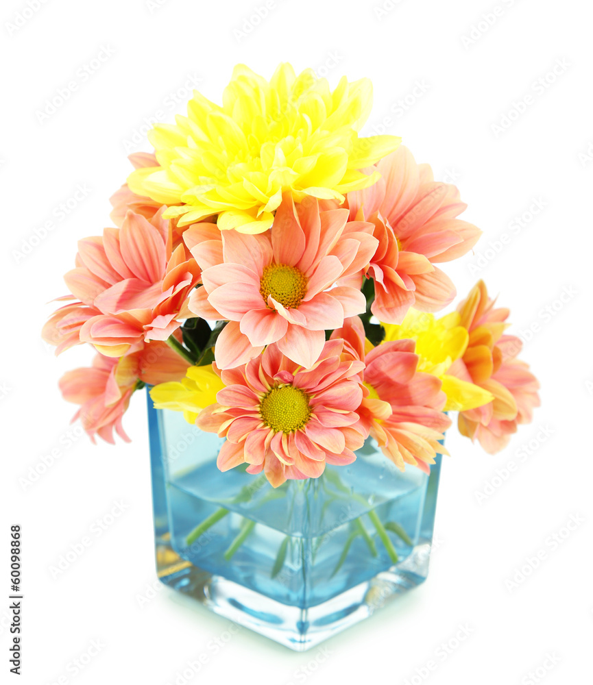 Chrysanthemum flowers in vase isolated on white