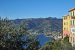 Camogli e golfo del Paradiso dal Monte di Portofino - Liguria