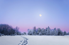 Evening Winter Landscape With Full Moon