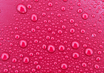 Wall Mural - water drops on the metal surface