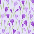 © incomible - Spring flowers crocus natural seamless pattern.