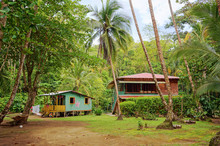 Caribbean House And Hut With Tropical Vegetation