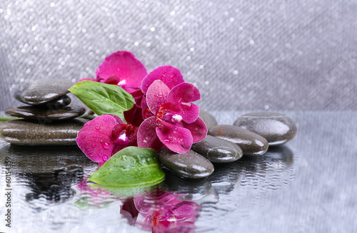 Tapeta ścienna Kompozycja z piękną kwitnącą orchideą z kroplami wody i
