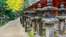 Stone Lanterns At Kasuga Taisha In Nara