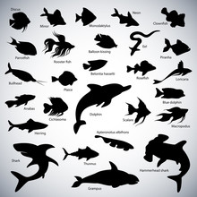 Fishes Silhouettes